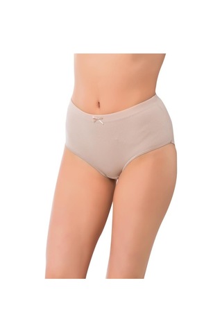 5 Adet Lüx Drm Buse Bayan Bato Yüksek Bel Slip Külot 035