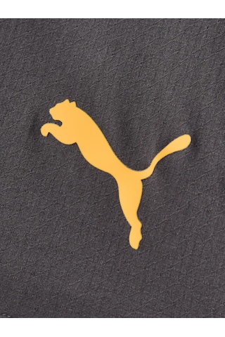 Gsstore Galatasaray Puma 2026/2027 Deplasman Profesyonel Şort 78502105 Antrasit
