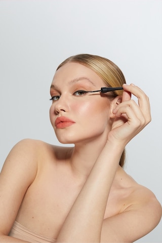 New Well Kare Dipliner