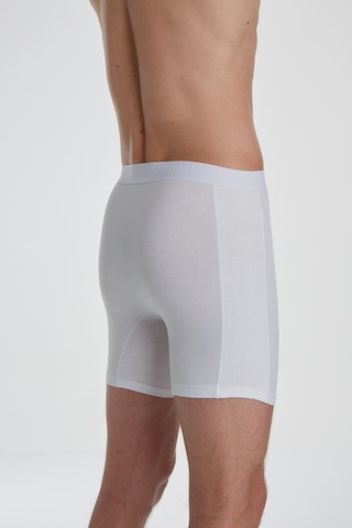 X Man 704 Beyaz Erkek Boxer Beyaz