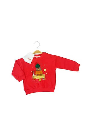 Çikoby Bebek Örgü Şapkalı Ayı Baskılı Sweatshirt-13519 Kırmızı