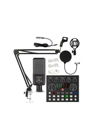 Lgt240 Filtreli Condenser Mikrofon V8s Live Plus Ses Kartı Ve Standlı Set
