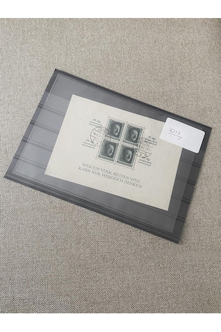 Adolf Hitler 48 Doğum Günü Damgalı Pul Bloğu 013