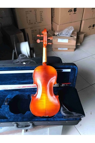 Pagannini Vg200-H Kare Kutulu Gül Aksamlı Tam Boy Keman Seti