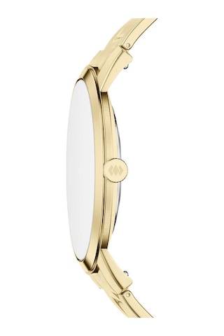 Fossil Ffs6181 Erkek Kol Saati Altın