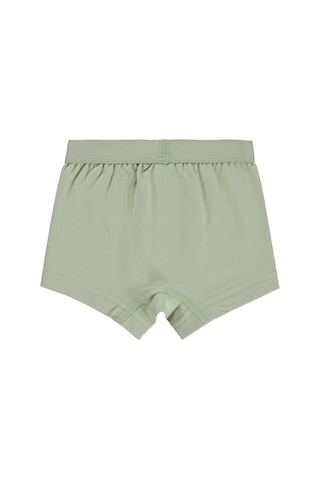 Civil Baby Dinazor 9-18 Ay Bebek Erkek Boxer - Standart