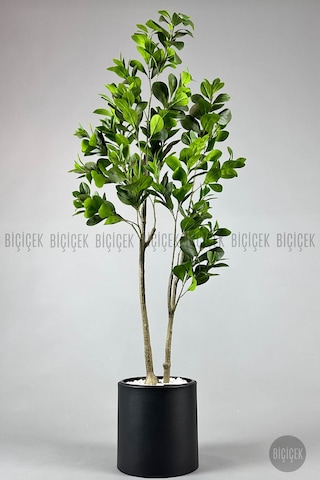 Biçiçek Yapay Manolya Ağacı 150 Cm Si̇yah Metal Saksıda