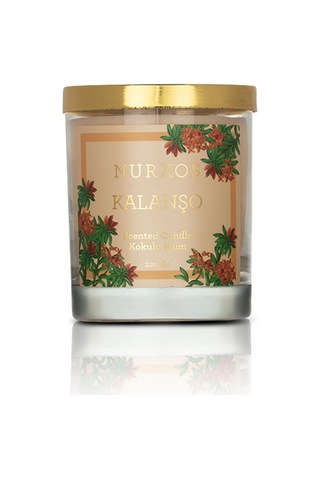 Nurxos Kalanşo Kokulu Mum 220 G