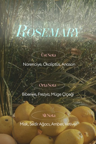 Missha A'pıeu Juicy Pang Perfume Hand Cream Rosemary