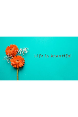 Çiçek Life is beautiful Kanvas Tablo
