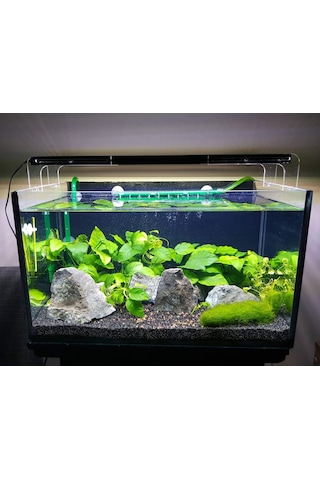 50cm Akvaryum Armatürü 1050l