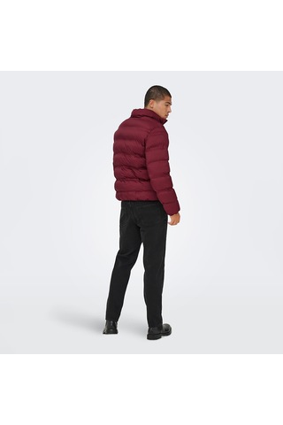 Only & Sons Union Seamless Life Erkek Bordo Mont 22034834-cab Bordo