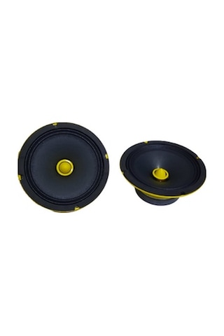Bm Audio Xw-16 700w 16cm Profesyonel Midrange