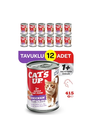 Cats Up Yaş Yetişkin Kedi Maması Tavuklu 415gr 12li