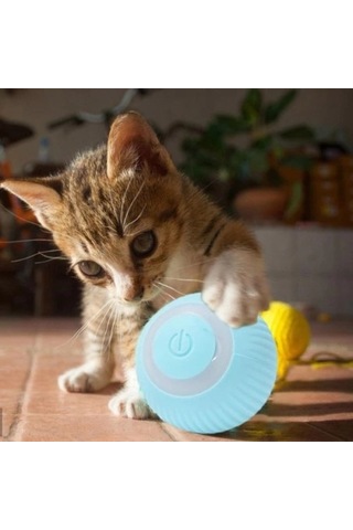 Köpek Kovucu İnteraktif Kedi Köpek Şarjlı Oyun Topu
