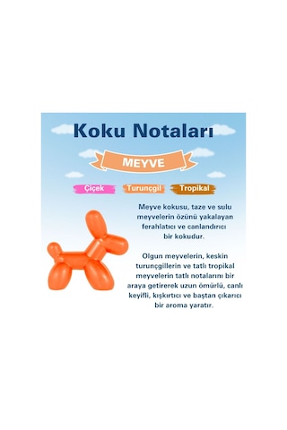 Little Joe Little Dog Meyve Araç Kokusu Fruit -45 Gün -oto Koku