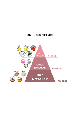 BEX 307 Unisex Parfüm EDP 50 ML