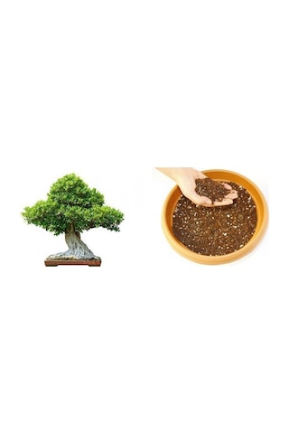Bonsai Toprağı 30 Lt