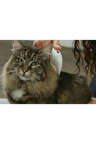 Kedi Köpek Pire Temizleyici Pire Tarağı Flea Doctor
