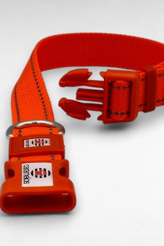 Caramelos Reflektörlü Köpek Tasması, Kişiye Özel Köpek Tasması. Büyük Ive Orta Irk Köpek Tasması Turuncu L Turuncu