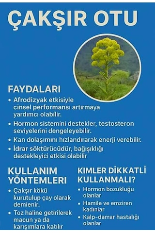 Natur'el Çakşır Kökü Suyu