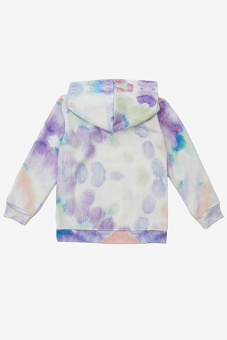 United Colors Of Bennetton Kadın Kapüşonlu Sweatshirt Bnt-g20843 Mor