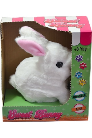 40098 Tavşan Peluş Pilli-Aya Toys