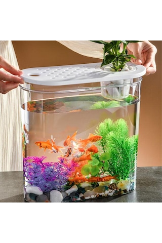 Suntek Mini Balık Tankı Temizle Taşınabilir Masa Hidroponik