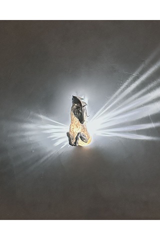 Pegasus Gece Lambası Beyaz