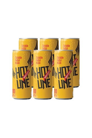 Hotline Enerji İçeceği 250 ml 6'lı