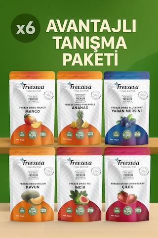 Freezeva Freeze Dried Kuru Meyve 6'lı Tanışma Paketi 110 G