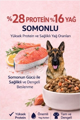 Somonlu Köpek Maması %28 Protein %16 Yağ Yetişkin Köpekler İçin Tam Ve Dengeli Beslenme