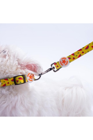 Watermelon Karpuz Desenli Köpek Boyun Tasması Ayarlanabilir Köpek Tasması M Sarı