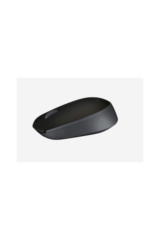 M171 Kablosuz Usb Mouse Siyah 910-004424 Diğer