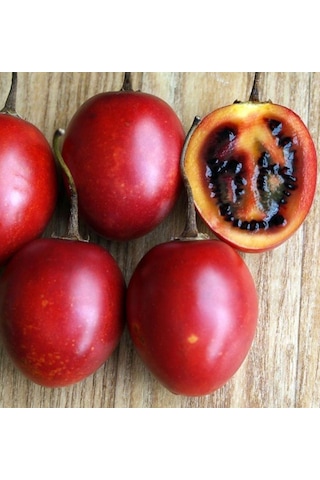 Tüplü 2 Yaş Tamarillo Domates Ağacı Fidanı 50-70 Cm
