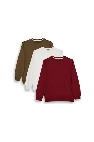Tudors Erkek 3'lü Haki-beyaz-bordo Relax Fit Rahat Kesim %100 Pamuk 2 İplik Bisiklet Yaka Sweatshirt-41613 Çok Renkli