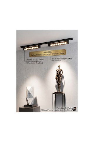 2'li Magnet Ray Spot Seti 20w - 1 Metre Siyah Ray - 3000k Gün Işığı,2x 20w Magnet Ray Spot & 1 Metre Siyah Ray Aydınlatma Seti Diğer