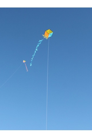 Gülen Uçurtma/Hışır Altıgen Küp Desen Uçurtma/Sarı Mavi Turuncu