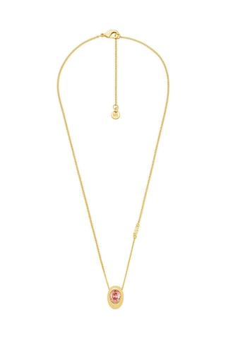 Michael Kors Mkj8627-710 Kadın Kolye Renkli