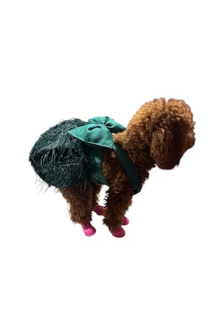 Dev Fiyonklu Şık Püsküllü Yeşil Küçük Irk Köpek Elbisesi