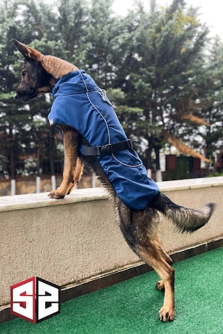 Salya Store Büyük Ve Orta Irk Su Geçirmez Köpek Montu Bkm-100