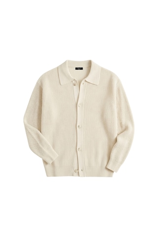 Genıus Store Erkek Hırka Oversize Kalıp Düğmeli Polo Yaka Triko Kazak Çekme/uzama Yapmaz Erkek-hırka Taş