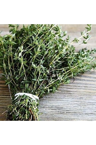 Aromatik Dağ Kekiği Tohumu 1000+ Tohum Paketi