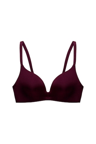 Bordo Fallsweet Hiçbir Tel Dikişsiz Sutyen Ab Fincan Push Up Sütyen Kadınlar İçin Rahat İç Giyim Bordo