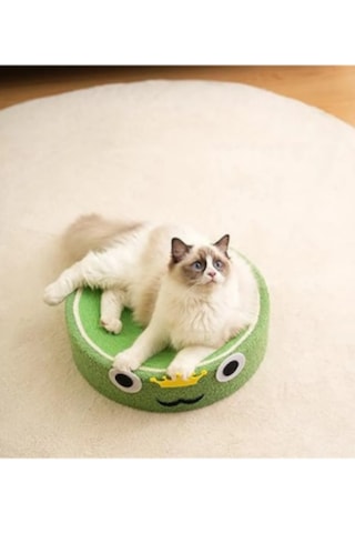 Kuara Kurbağa Kedi Tırmalama Alanı Eğlenceli ve Fonksiyonel Tasarım