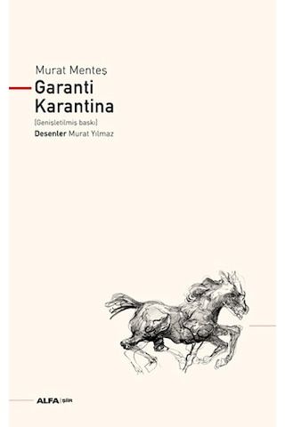 Ucuz Romancılar + Fink Ciltli + Garanti Karantina + Okuma Sticker'ları