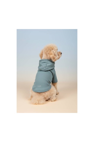 Kapüşonlu Kedi Köpek Kıyafeti Sweatshirt Hoodie Evcil Hayvan Giysisi