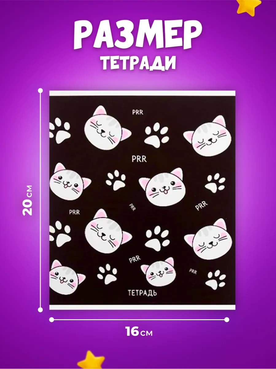 Calligrata 48 Yapraklı Genel Defter Seti 54328203