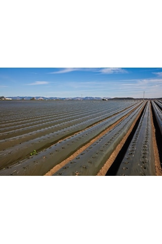Malç Naylonu Çilek Naylonu En 130 CM Boy 100 M Malç Örtüsü