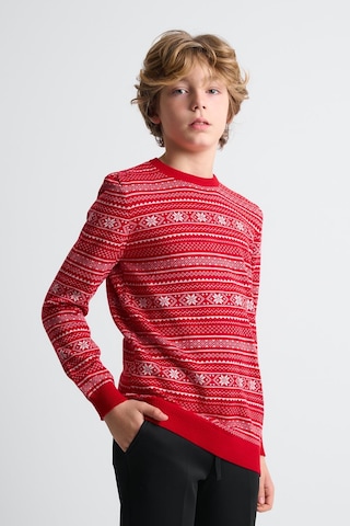 Alexandergardı Bisiklet Yaka Çocuk Triko Kazak C23-7103 Kırmızı